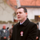 Megyei ünnepi megemlékezés és szoboravatás Lébényben