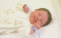 Slámer Bence, Halászi