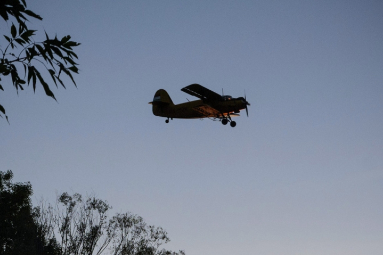 Ideiglenesen engedélyezték a légi kémiai szúnyogirtást