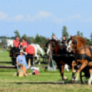 10.  Sajtos-Réti fogathajtó verseny 