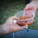 IV. Lébényi Ízőrző Nap