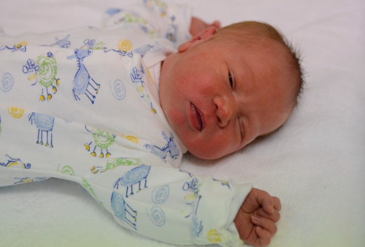 Weinhold Ádám, Jánossomorja