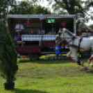 10.  Sajtos-Réti fogathajtó verseny 