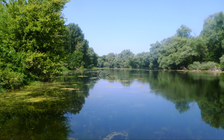 Sümegi Mirjam Jozefin: Utazás a Dunán