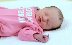 Majlinger Regina, Bősárkány