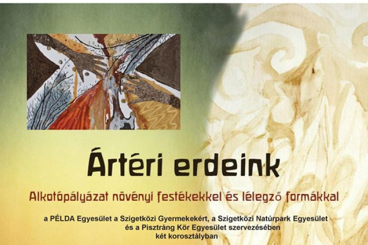 Alkotópályázat - ártéri erdeink védelme érdekében