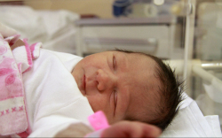 Horváth Szofi, Mosonmagyaróvár