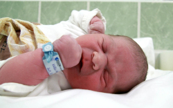 Knoll Marcell, Mosonmagyaróvár