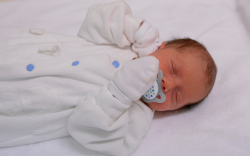 Dano Nolen, Mosonmagyaróvár