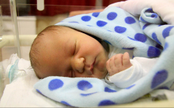 Gazsó Máté, Mosonszolnok