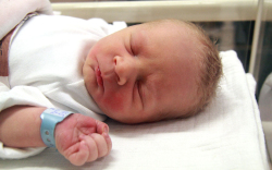 Szalay Levente, Csorna