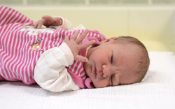 Németh Csenge, Várbalog