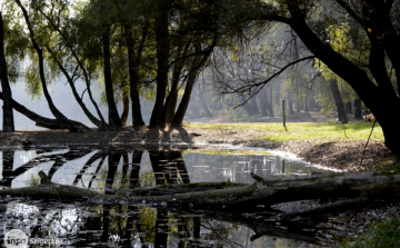 Gyermekeink gondolatai a Szigetközről