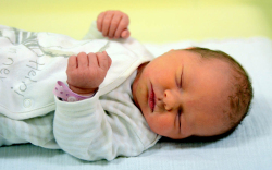 Gazsó Boglárka Zsófia, Jánossomorja