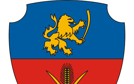 Újraszervezik a polgárőrséget