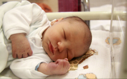 Földes Mátyás, Mosonmagyaróvár