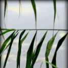  Körtvélyesi László Körte fotóművész munkái