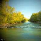 Őszi képek a Szigetközben