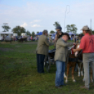 10.  Sajtos-Réti fogathajtó verseny 