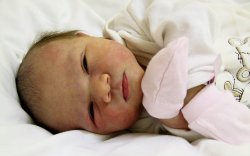 Strobli Zoé, Hegyeshalom