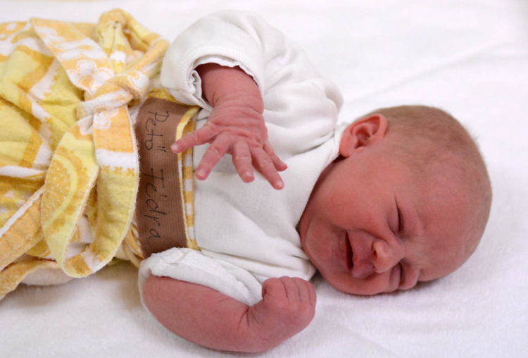 Pető Fédra, Máriakálnok