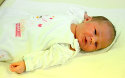 Buda Csenge, Mosonmagyaróvár