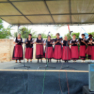 Megyei Nemzetiségi Nap és Megyei Értéknap