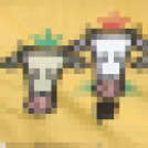 Szigetközi gulyahajtás 2018