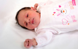 Katona Zoé Alexa, Halászi