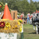 10.  Sajtos-Réti fogathajtó verseny 