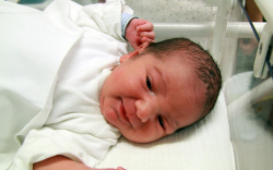 Döbrönte Péter, Kimle