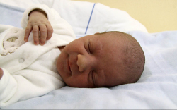 Radics Miron, Mosonmagyaróvár