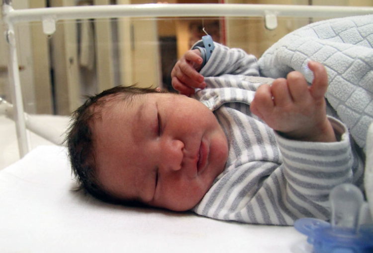 Mándi Nándor, Jánossomorja