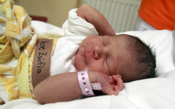 Bene Zsófia, Mosonmagyaróvár