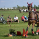 10.  Sajtos-Réti fogathajtó verseny 