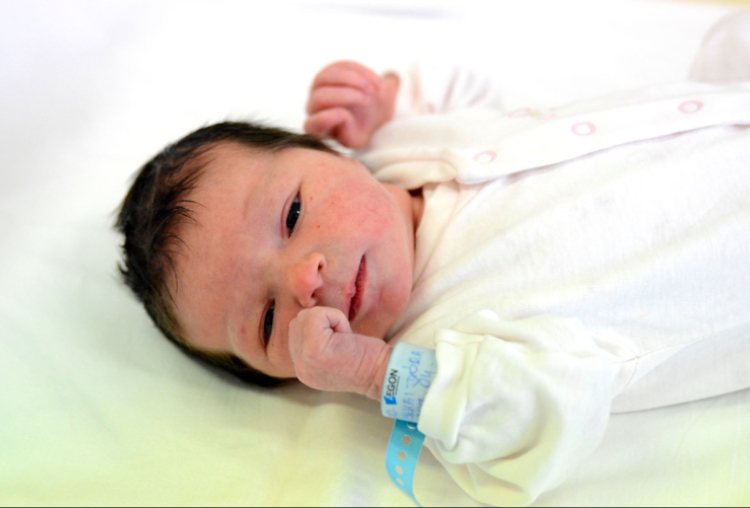 Liszkai Dóra, Dunasziget