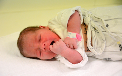 Berezi Vivien, Dunasziget