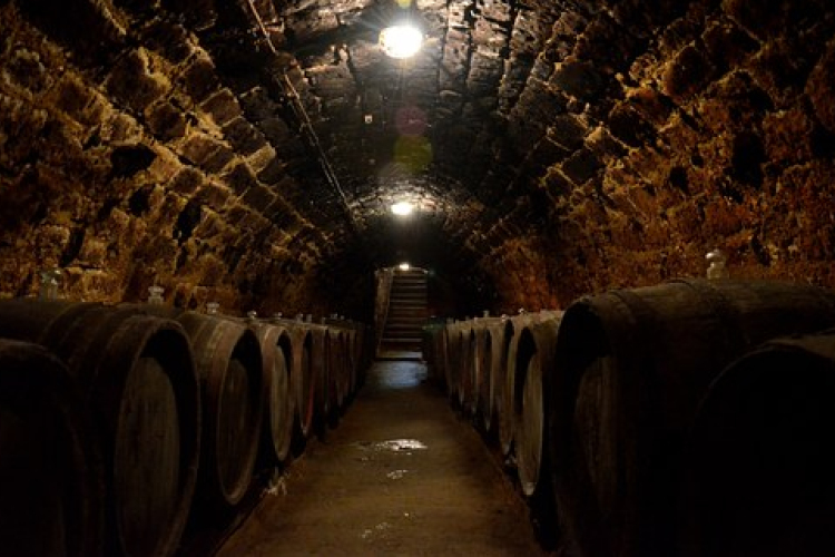 Az ősz egyik veszélye a mustgáz - előzzük meg a baleseteket