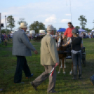 10.  Sajtos-Réti fogathajtó verseny 