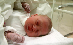 Gömbös Linetta, Mosonszolnok