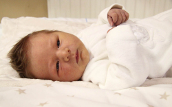 Burkus Bende, Mosonmagyaróvár