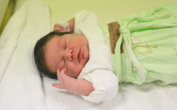 Gyovai Rozi, Bősárkány