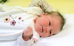 Fecske Malvina Dalma, Ásványráró