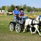 10.  Sajtos-Réti fogathajtó verseny 