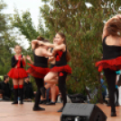 Szigetköz Lelke Pálinkaház - Családi program és a IV. bérfőzetői pálinkaverseny eredményhirdetése