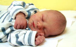 Juhász Marcell, Hegyeshalom