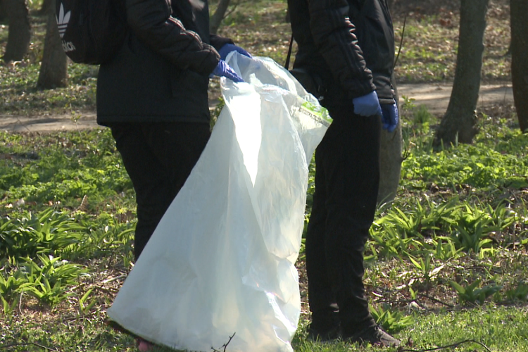 Erdőtisztítást szerveznek Darnózselin