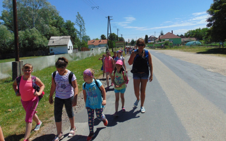 Egy madárbarát naplója