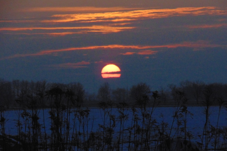 Küzdelem a sártengerben - Kalandozások a Szigetközben 7. rész