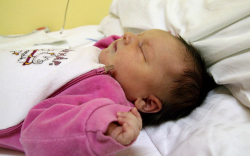 Levéli Rebeka, Levél